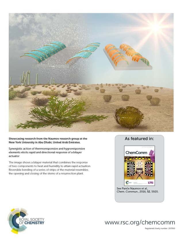 Journal cover featuring lab research
