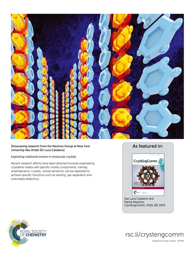 Journal cover featuring lab research